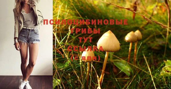марихуана Заволжск
