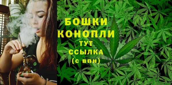молекула духа Ахтубинск