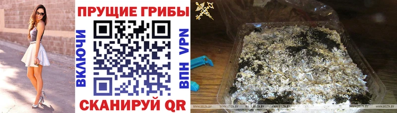 Галлюциногенные грибы GOLDEN TEACHER Инза